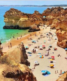 Quinta chalet - Alcantarilha - 8