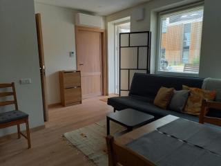 Two room apartment with terrace, Nida - 7