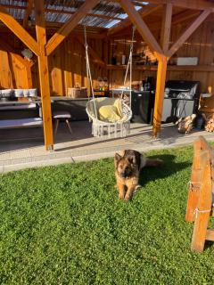 Apartmány Turkovna - - 8