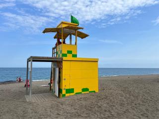 Delfín verde - Benalmádena - 8