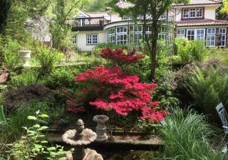 Rose Cottage - West Runton - West Runton - 0