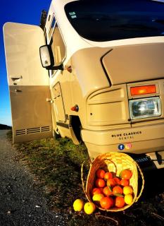 Rent a BlueClassics 's Campervan le Voyageur In Algarve au Portugal - Portimão - 1