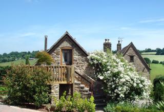 Brambles - Little Dean - 9