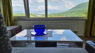 Villa Panorama Sarajevo - Binježevo - 9