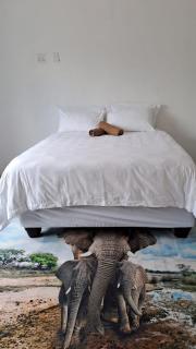 Nanisto Bush Lodge - Marloth Park - 6