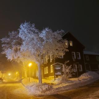 Zur alten Tischlerei - Oberhof - 9