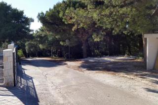 Apartment Okrug Donji 5244d - Okrug Donji - 2