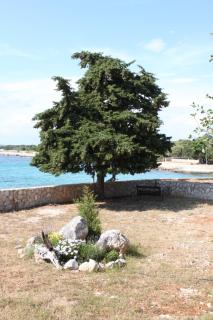 Apartments by the sea Lun, Pag - 3320 - Lun - 6