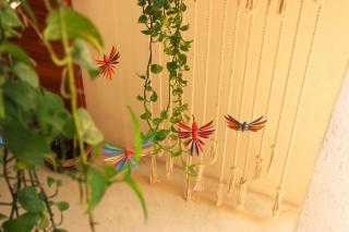Tierra Mia Boutique Hotel - Isola Holbox - 8