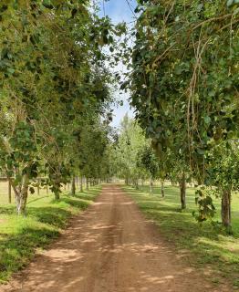 Preston Valley Retreat - Lowden - 4