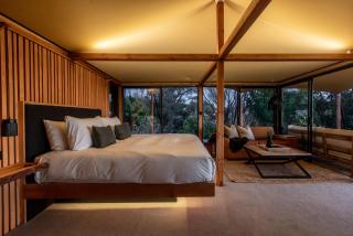 The Enchanted Retreat - Unforgettable Luxury Glamping - Havelock North - 3