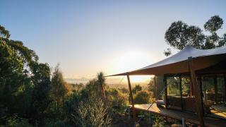 The Enchanted Retreat - Unforgettable Luxury Glamping - Havelock North - 9