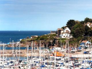 Blue Lobster - Brixham - 4