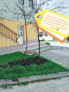 Apartment Božica - Žabljak - 7