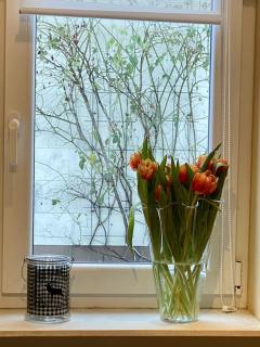 Ferienhaus Hoher Meißner - 1