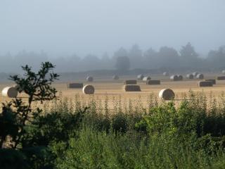 High Park Farm - York - 2