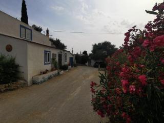 Casa Joy - Guia - 4