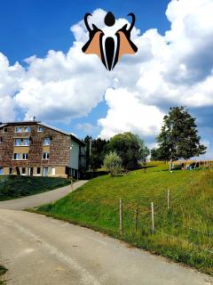 Les Chamois - Lajoux - 3