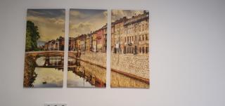 DIVNA Sarajevo Apartman - Sarajevo - 1