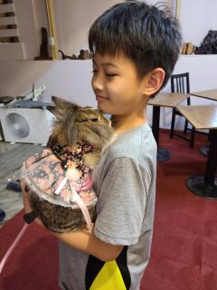 Meow28 - Città di Taitung - 2