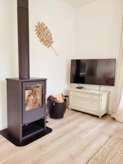 Scandinavian Wellness met hottub & sauna - Ewijk - 1