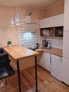 New modern apartments in the center - Ivano-Frankivsk - 3