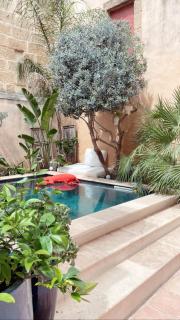 La Maison du Trident en Camargue Piscine et Jacuzzi - 5