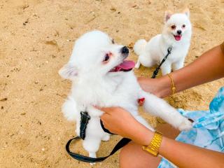 Margarita Beach - Khanom - 9