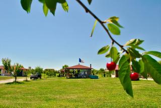 Camping La Foisor Turda - 1