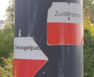 House of Straw Amsterdam - 3