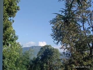 DAK'S STAY - Kalimpong - 1