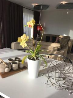 Topp moderne suite. - 1