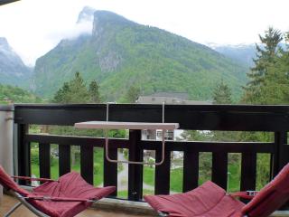 Appartement confort & lumineux avec balcons, animaux admis et parking couvert - FR-1-629-126 - Samoëns - 9