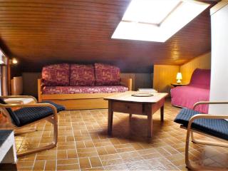 Appartement confort & lumineux avec balcons, animaux admis et parking couvert - FR-1-629-126 - Samoëns - 8