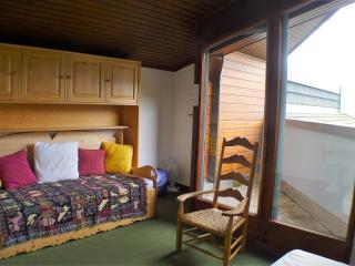 Appartement confort & lumineux avec balcons, animaux admis et parking couvert - FR-1-629-126 - Samoëns - 4