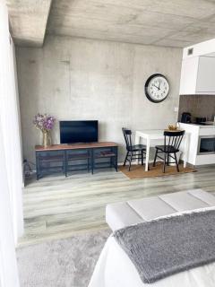* Blanc Studio Aveiro * - Aveiro - 9