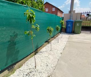 A1 - Airport Belgrade Apartment - 5