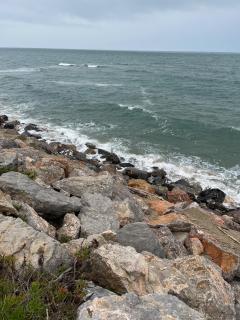 FRONT DE MER - T3 LEUCATE PLAGE - Leucate - 7