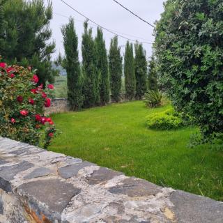 Villa Vigneto - - 9