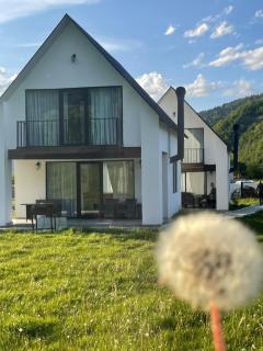 White House near Borjomi Sadgeri - 8