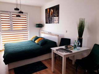 Fachpol Apartments Sienkiewicza 22D - Zamość - 6