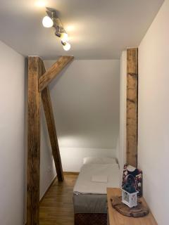 Apartmány Bolevec Plzeň pro rodiny s dětmi a zvířátky - Plzeň - 8