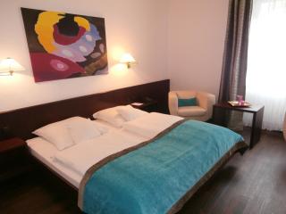 Central Hotel - Freiburg im Breisgau - 9