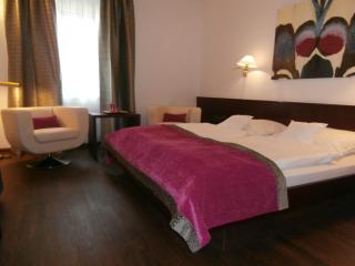 Central Hotel - Freiburg im Breisgau - 6