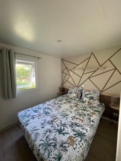 Mobil-Home au pied du Luberon - La Roque-dʼAnthéron - 7