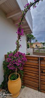 Myrovolos luxury Eneida's house - Ialyssos - 7