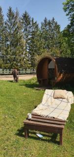 Kurnik Polski agroturystyka - Tykocin - 4