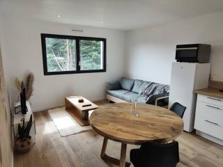 Studio neuf proche centre-ville - Pabu - 5