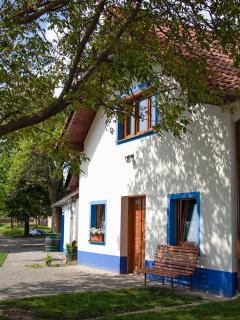 Apartmán Na vinařské stezce - Velké Bílovice - 1