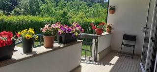 Villa Garden & Pool - Alojamentos - Celorico de Basto - 7